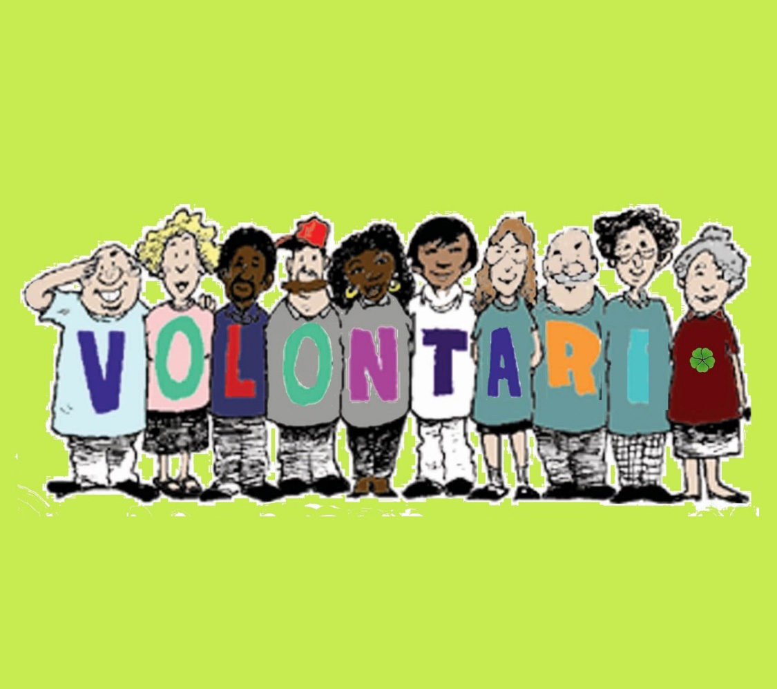World Volunteer Day